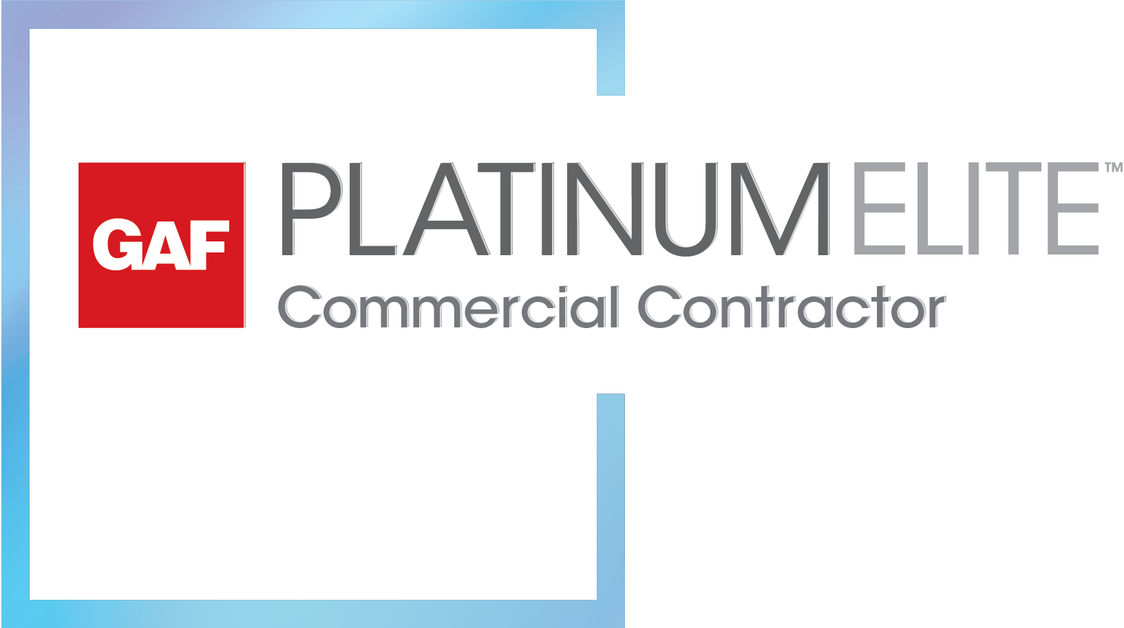 PlatinumElite Logo shadow